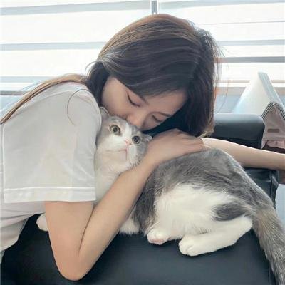 飙风骑手